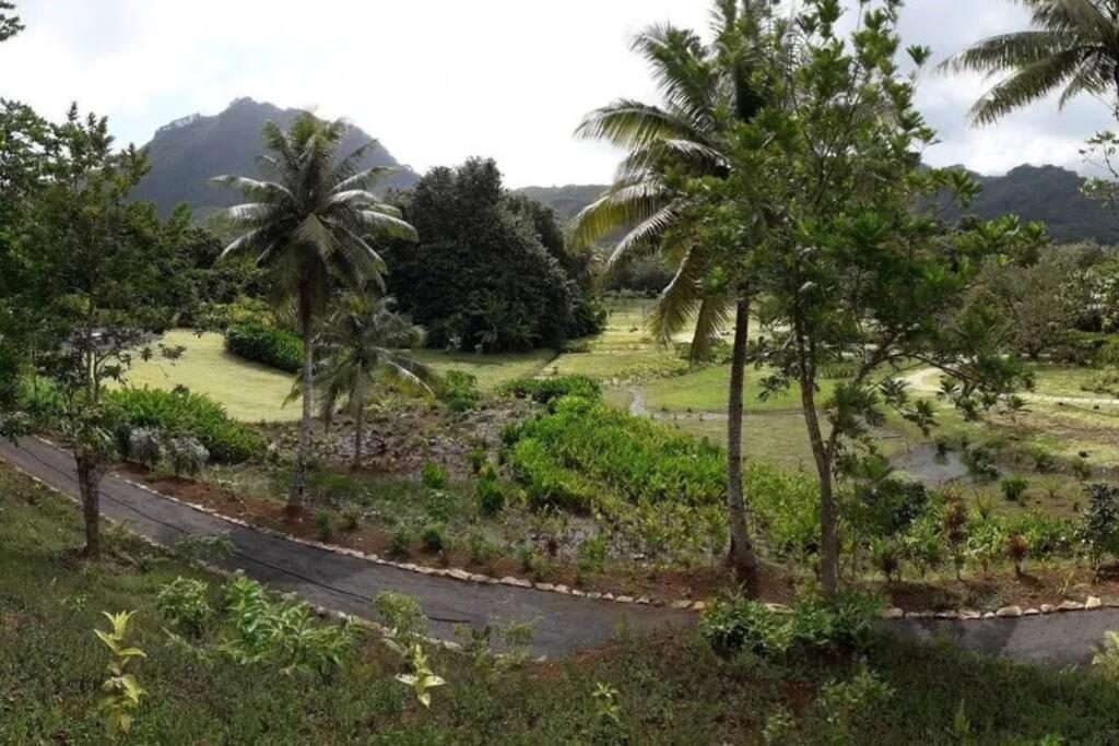 Studio Bord De Mer Fare Tahitea Pension Taputapuapea Exterior photo